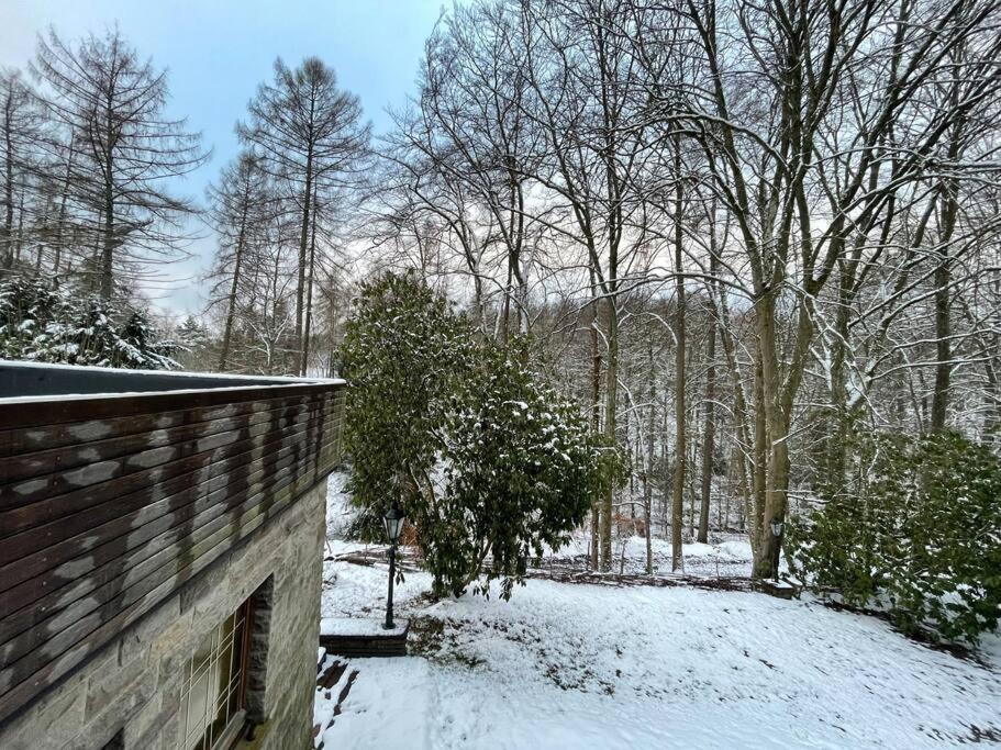 Sorpe Lodge - Entspannte Urlaubstage Am See! Langscheid  Exterior foto